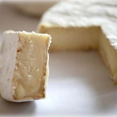 Willow Hill Vermont Brebis